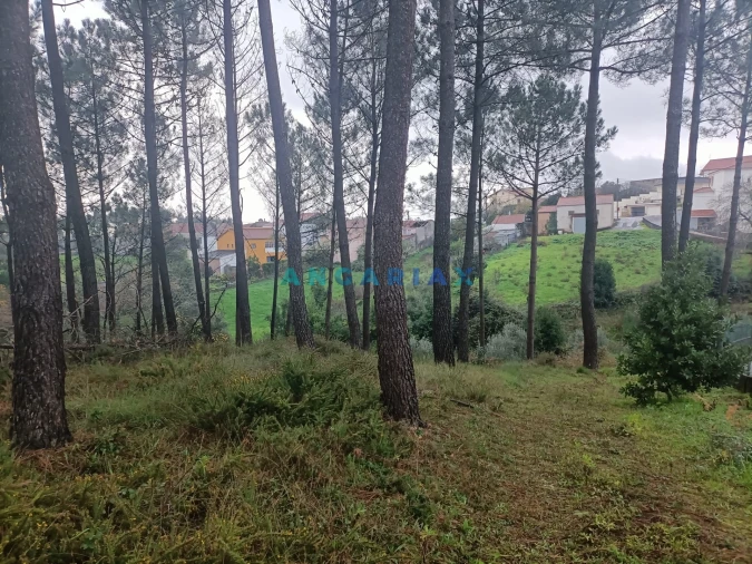 Terreno para Venda em Santa Catarina da Serra e Chainça Foto 6