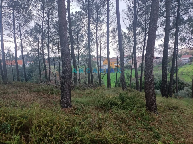 Terreno para Venda em Santa Catarina da Serra e Chainça Foto 3