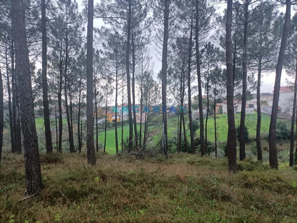Terreno para Venda em Santa Catarina da Serra e Chainça Foto 1
