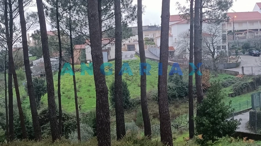Terreno para Venda em Santa Catarina da Serra e Chainça