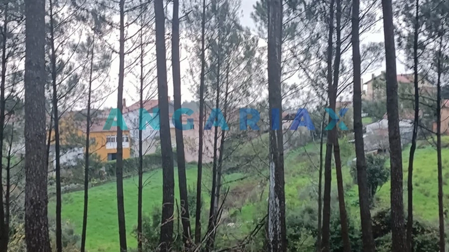 Terreno para Venda em Santa Catarina da Serra e Chainça