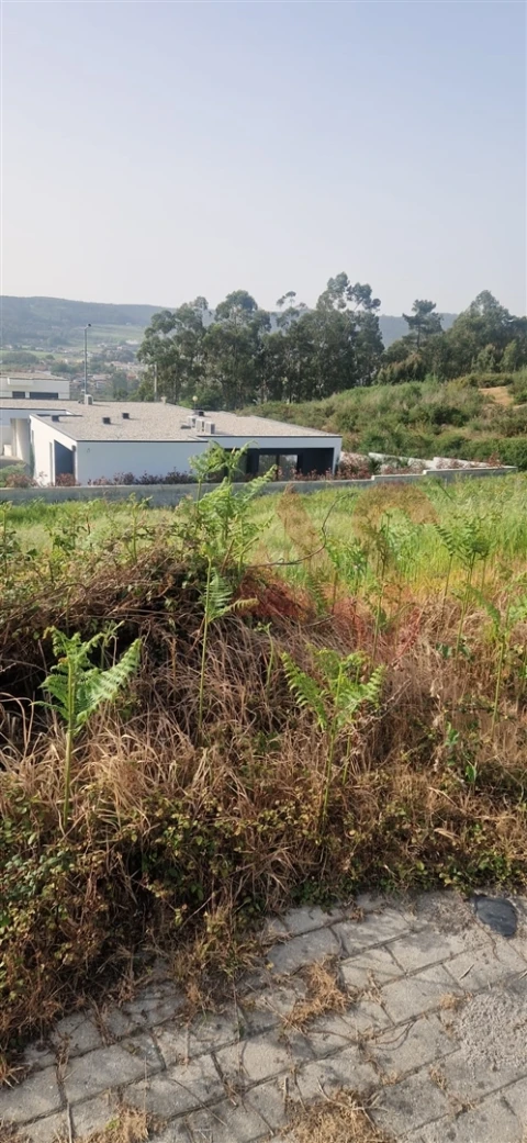 Terreno para Venda em Ruivães e Novais