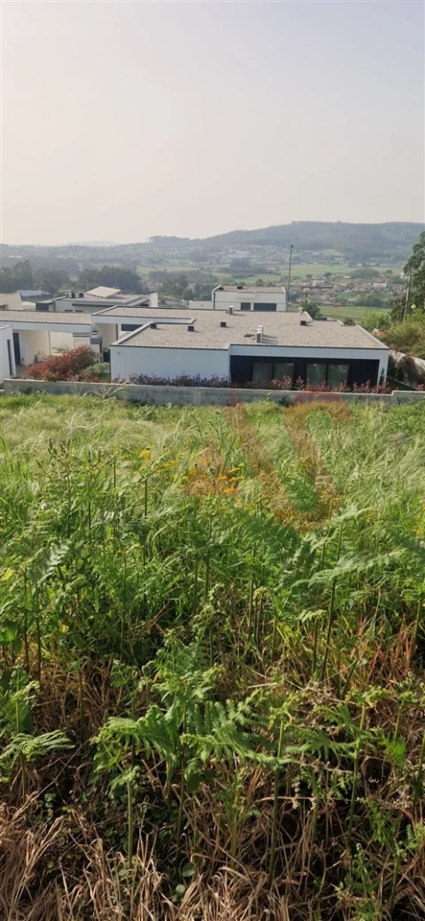 Terreno para Venda em Ruivães e Novais
