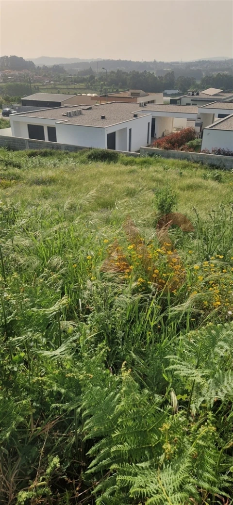 Terreno para Venda em Ruivães e Novais