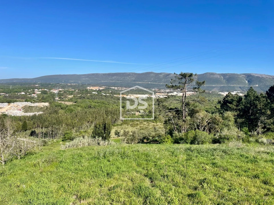 Terreno para Venda em Aljubarrota Foto 7