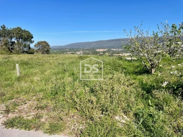 Terreno para Venda em Aljubarrota