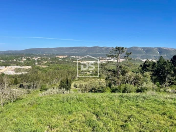 Terreno para Venda em Aljubarrota
