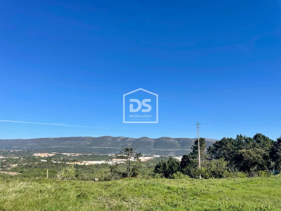 Terreno para Venda em Aljubarrota Foto 4