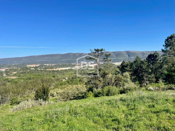 Terreno para Venda em Aljubarrota Foto 8