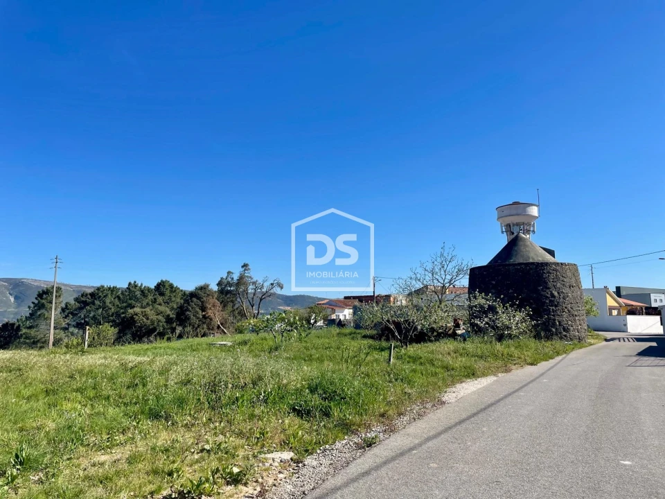 Terreno para Venda em Aljubarrota Foto 3