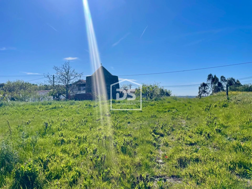 Terreno para Venda em Aljubarrota Foto 5