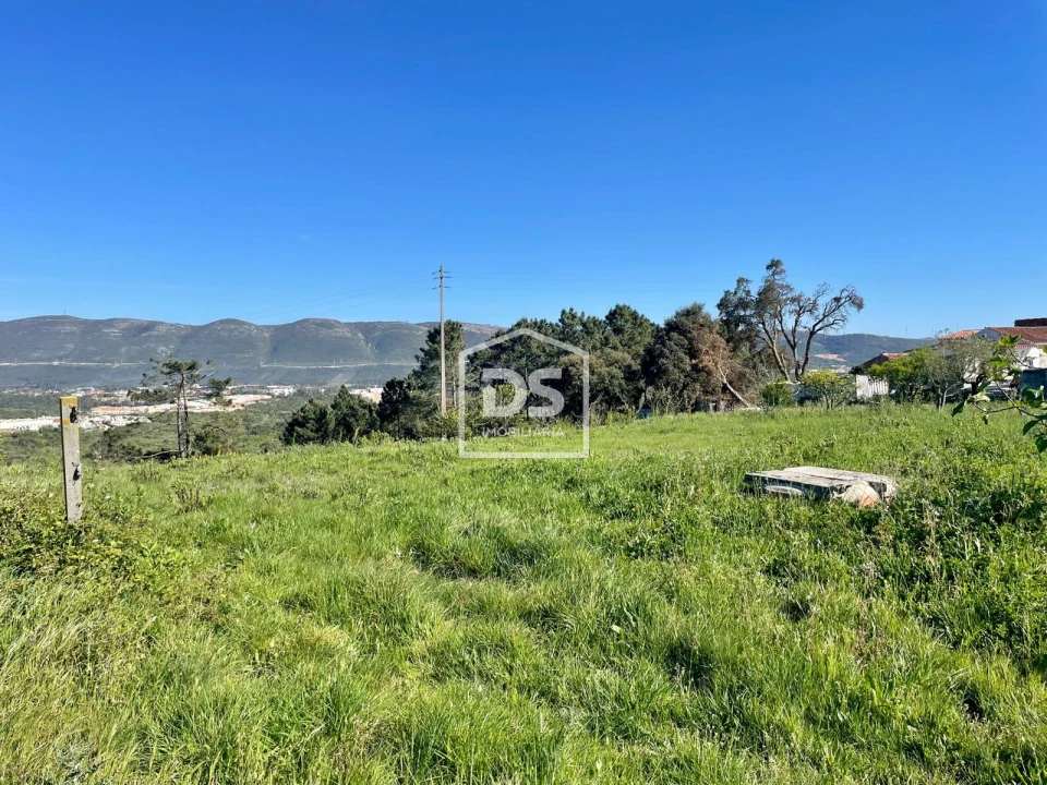 Terreno para Venda em Aljubarrota Foto 9