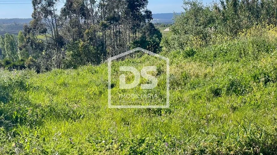 Terreno para Venda em Aljubarrota