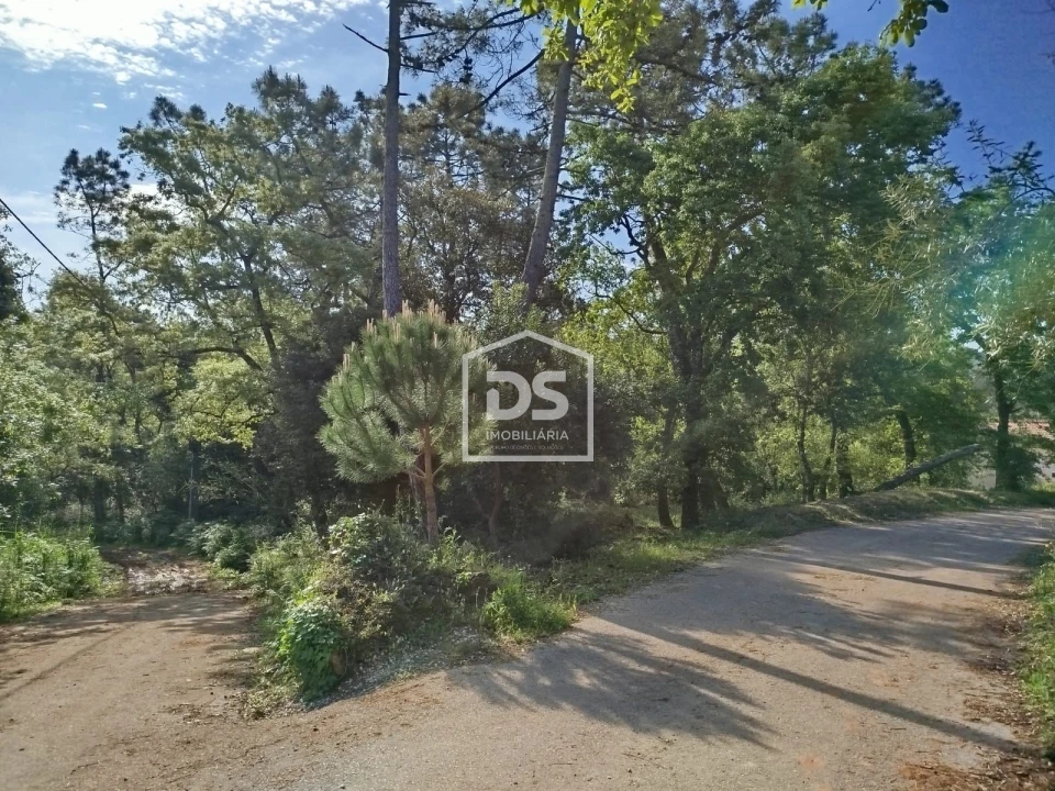 Terreno para Venda em Evora de Alcobaça Foto 3