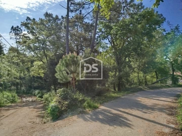 Terreno para Venda em Evora de Alcobaça