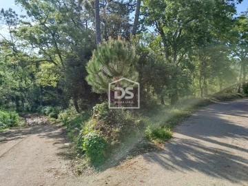 Terreno para Venda em Evora de Alcobaça