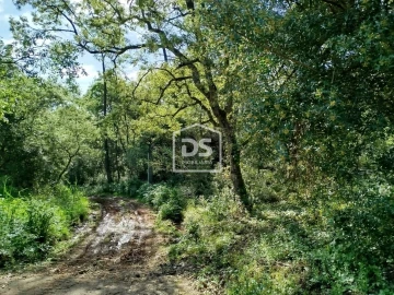 Terreno para Venda em Evora de Alcobaça