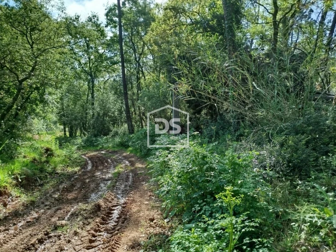 Terreno para Venda em Evora de Alcobaça Foto 5