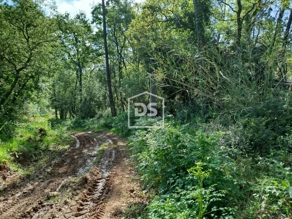 Terreno para Venda em Evora de Alcobaça Foto 7