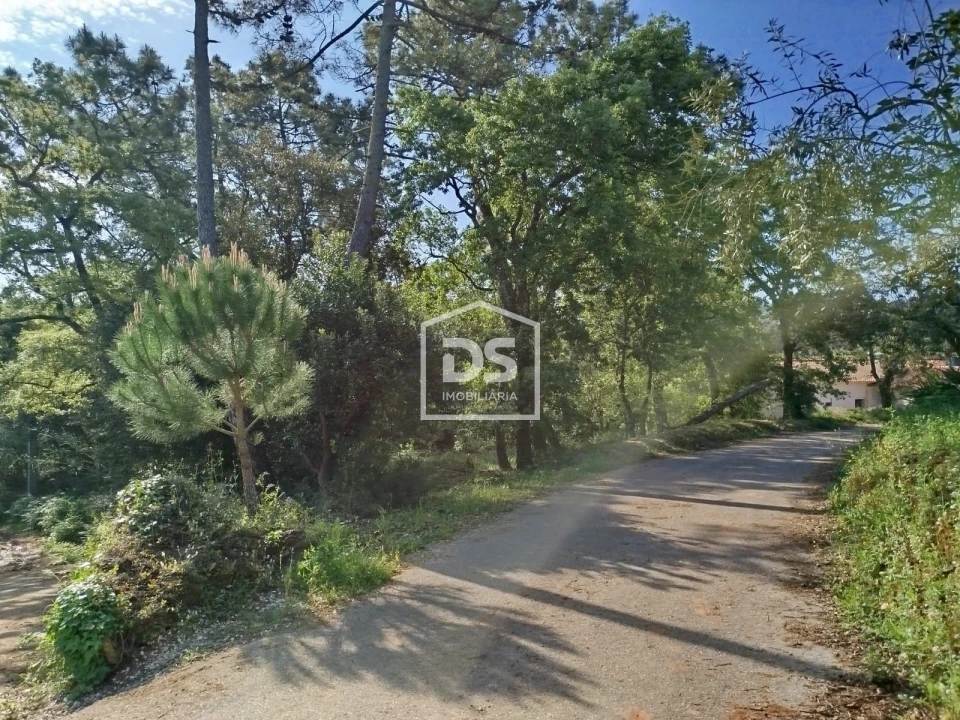 Terreno para Venda em Evora de Alcobaça Foto 2