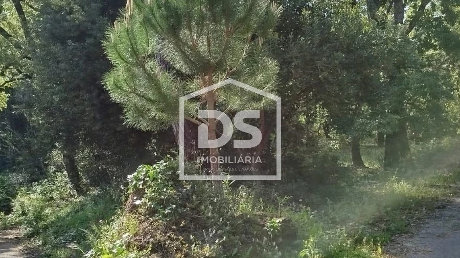 Terreno para Venda em Evora de Alcobaça