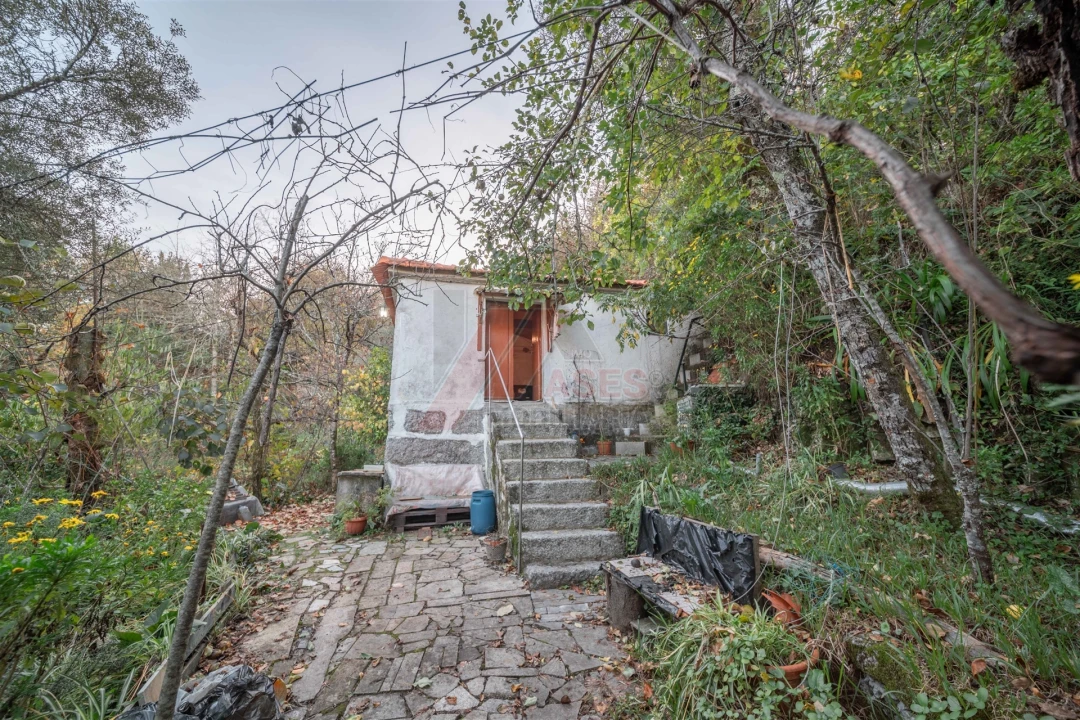 Moradia T2 para Venda em Travassos Foto 4