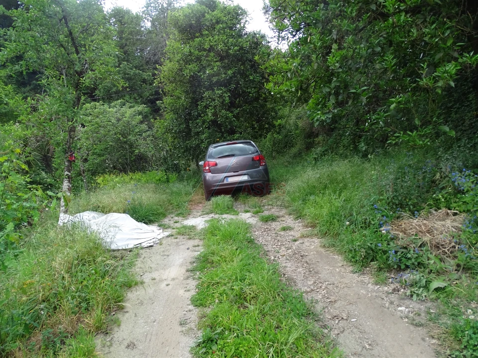 Moradia T2 para Venda em Travassos Foto 23