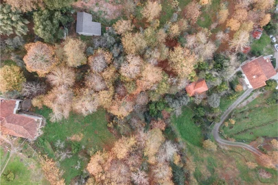 Moradia T2 para Venda em Travassos