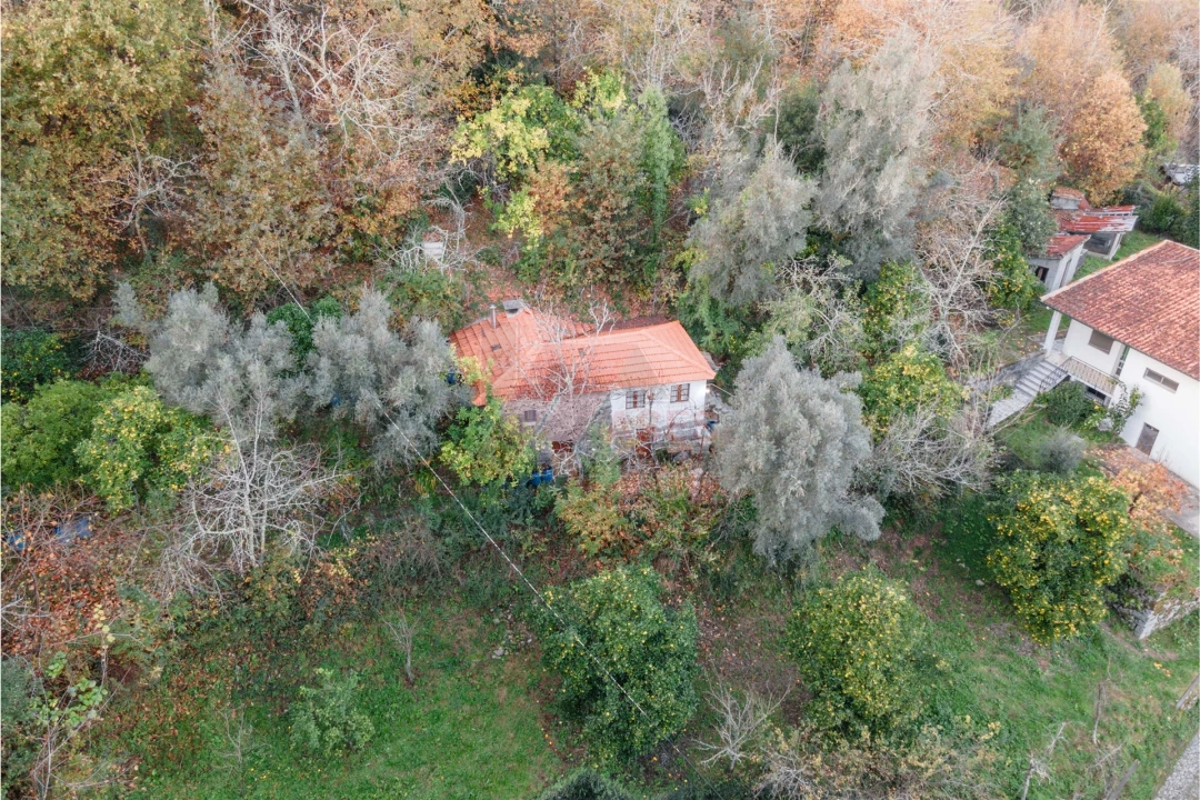 Moradia T2 para Venda em Travassos Foto 10