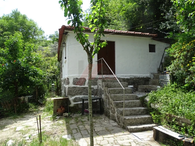 Moradia T2 para Venda em Travassos Foto 3