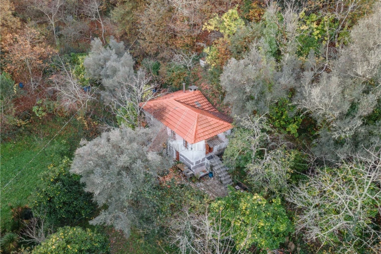 Moradia T2 para Venda em Travassos Foto 5