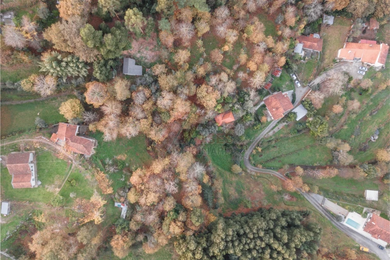 Moradia T2 para Venda em Travassos Foto 7