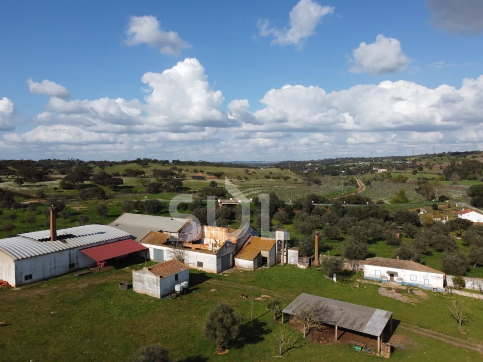 Terreno para Venda em Garvão e Santa Luzia Foto 3