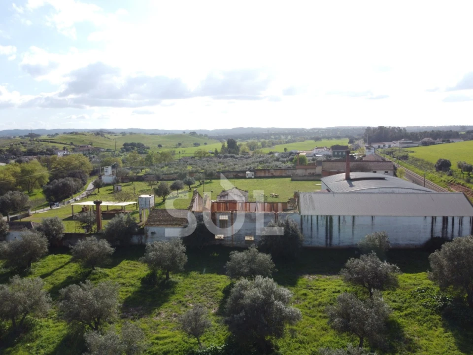 Terreno para Venda em Garvão e Santa Luzia Foto 10