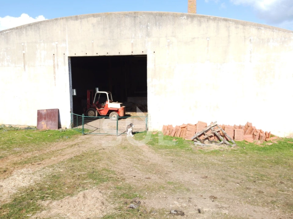 Terreno para Venda em Garvão e Santa Luzia Foto 19