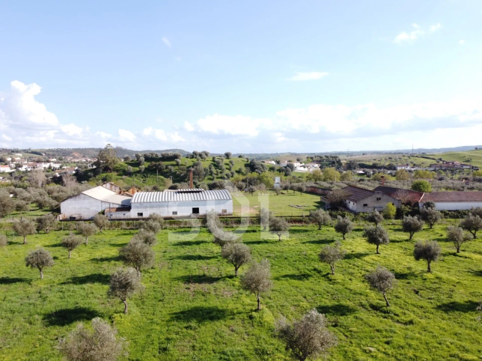 Terreno para Venda em Garvão e Santa Luzia Foto 24