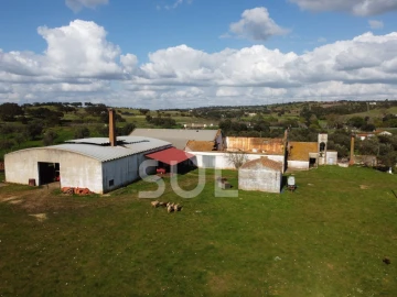 Terreno para Venda em Garvão e Santa Luzia