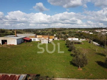 Terreno para Venda em Garvão e Santa Luzia