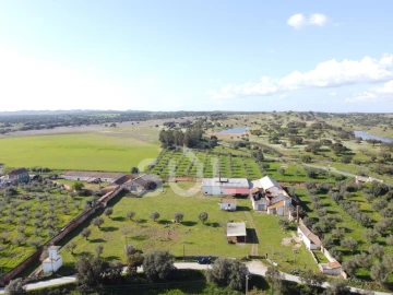 Terreno para Venda em Garvão e Santa Luzia