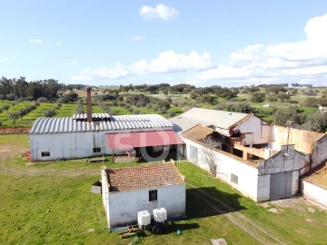 Terreno para Venda em Garvão e Santa Luzia