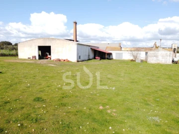 Terreno para Venda em Garvão e Santa Luzia