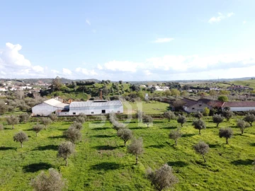 Terreno para Venda em Garvão e Santa Luzia