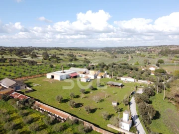 Terreno para Venda em Garvão e Santa Luzia