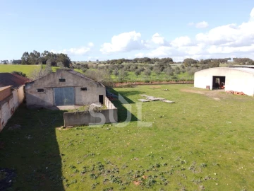 Terreno para Venda em Garvão e Santa Luzia