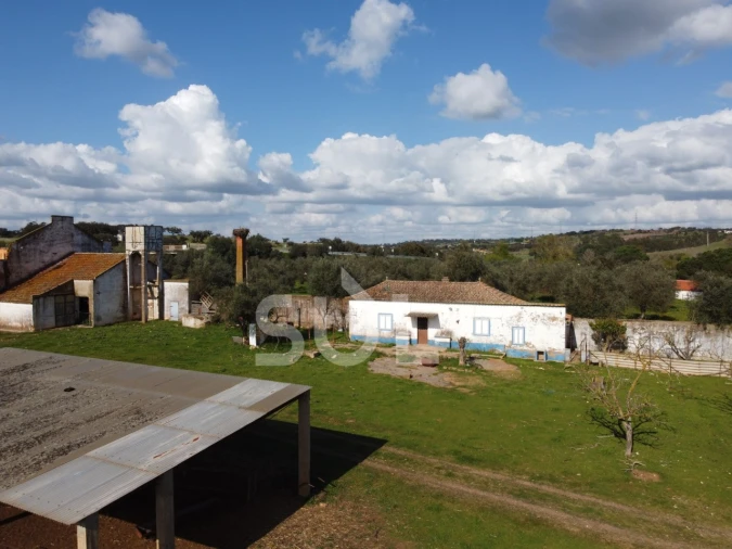 Terreno para Venda em Garvão e Santa Luzia Foto 4
