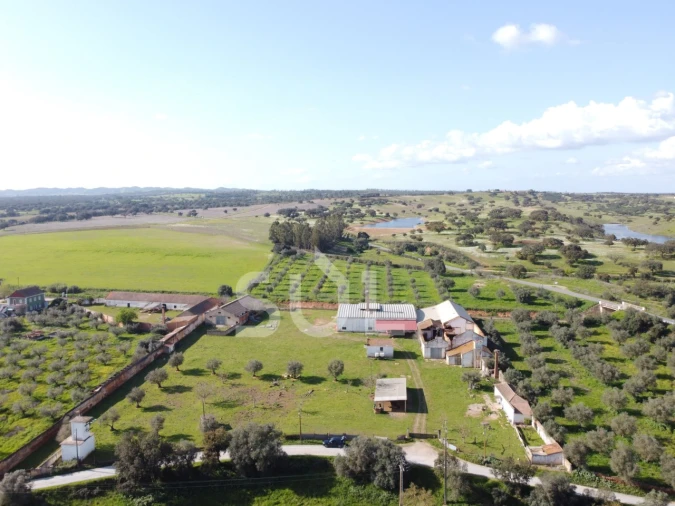 Terreno para Venda em Garvão e Santa Luzia Foto 12
