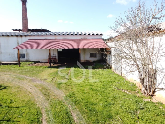 Terreno para Venda em Garvão e Santa Luzia Foto 16