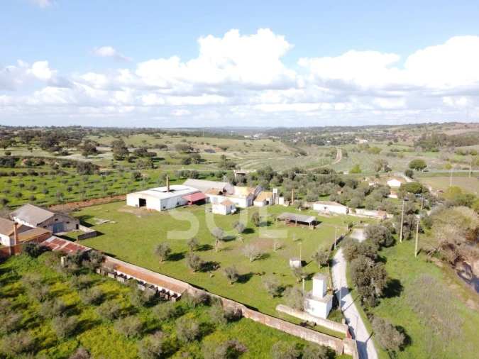 Terreno para Venda em Garvão e Santa Luzia Foto 29