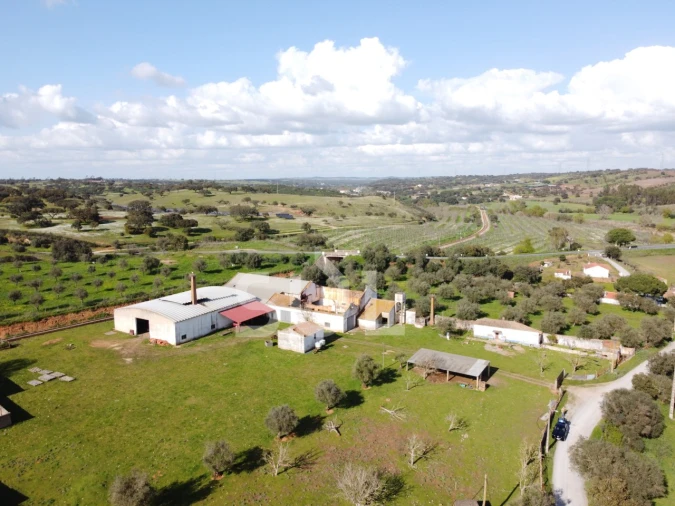 Terreno para Venda em Garvão e Santa Luzia Foto 31