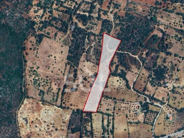 Terreno Agricola ou Rústico para Venda em São Brás de Alportel